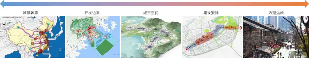 楊4.jpg