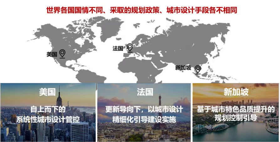 楊2.jpg