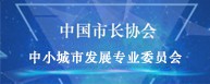 中國(guó)市長(zhǎng)協(xié)會(huì) 小城市（鎮(zhèn)） 發(fā)展專(zhuān)業(yè)委員會(huì)